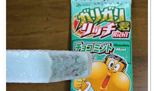 ガリガリ君チョコミント味をお試し！子供には理解できない大人の味♡